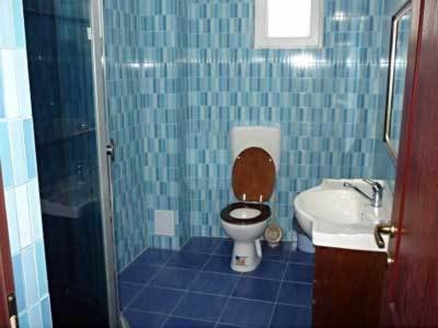 Pension Casa Sibiana Sulina Cameră foto